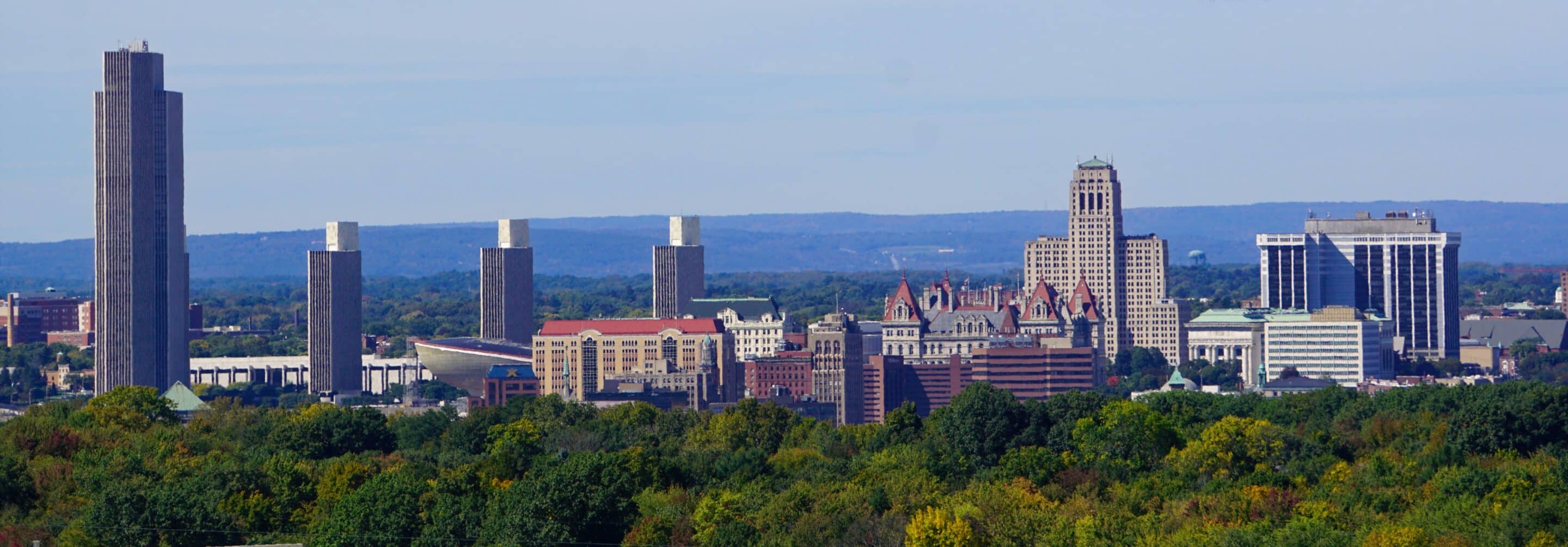 Albany Skyline bruin en wit betonnen gebouwen bij groene bomen